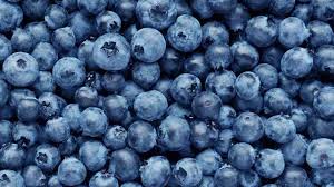 blueberries 101 nutrition facts and health benefits