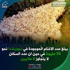 الاغنام food