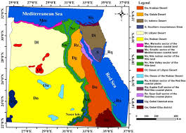 Image result for Zygophyllum leucocladum