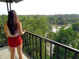 The park area is approximately 800 acres and shelter a wide variety of habitats. Wikiloc Picture Of Kuala Selangor Nature Park And Lighthouse 1 6