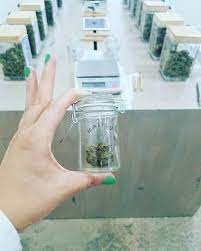 Malibu community collective is a cannabis dispensary located in the malibu, california area. Malibucc