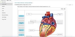 We did not find results for: My Courses Ex 30 Best Of Homework Anatomy Of The Chegg Com