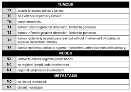 We did not find results for: Pancreatic Cancer Geeky Medics