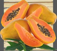 Image result for Carica papaya