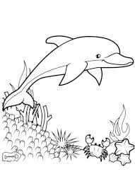 Click to download free printable coloring pages for adults (and kids!). Dolphins Coloring Pages 100 Pictures Free Printable