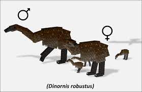 It is based on fossils and dinosaurs and ancient buildings. Upcoming Content Fossils And Archeology Mod Revival Wiki Fandom Dinosaur Sketch Prehistoric Creatures Minecraft Designs