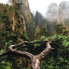Yellow Mountain In Clouds Huangshan China Oc 3024x3024 Azartler Http Ift Tt 2icuv8s August 18 2017 At 05 45amon Beautiful Nature Landscape Nature Photos