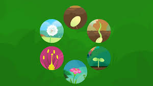 Check spelling or type a new query. What Are The Stages Of A Plant S Life Cycle Bbc Bitesize