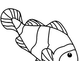 Mewarnai gambar ikan lumba lumba dolphin alamendah s blog. Sketsa Gambar Ikan Nemo Hitam Putih Gambar Ikan Hd