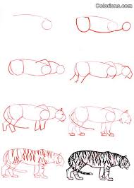 Comment Dessiner Tigre Comment Dessiner Un Tigre Dessin Tigre Comment Dessiner