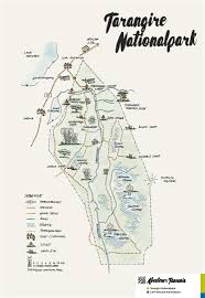 Verschieben sie die karte oder ändern sie die filteroptionen. Tarangire Nationalpark Abenteuer Tansania Individuelle Reisen Nach Tansania