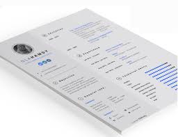 Throughout school and in my early career i've. Indesign Resume Template Examples That Look Absolutely Great