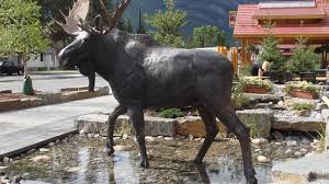 Then one was erected in norway in 2015. The Moose Sculpture In Front Of The Hotel Picture Of Moose Hotel And Suites Banff Tripadvisor