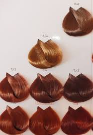 Copper Loreal Majirel Color Chart Bedowntowndaytona Com