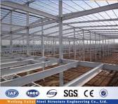 Large Span Light Steel Structure Building Warehouse Construction Drawing  Design Low Cost