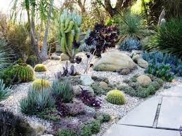 Modern Succulent Garden Succulent Landscape Design Rock Garden Design Rock Garden Landscaping