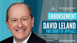 David Leland for Judge