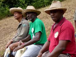 With this goal in mind, forestcoin has a limit of one forestcoin for every person on the planet. Lasote Im Rhythmus Der Trommeln