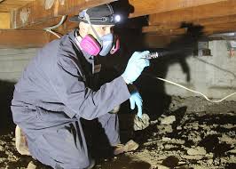 As a local pest control provider we serve cardiff and surrounding areas. Termite Inspection And Control Company In The Bay Area