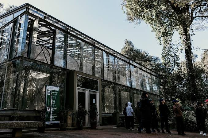 Mocon�, Salto Encantado y Santa Ana: los parques que impulsan el turismo educativo en Misiones