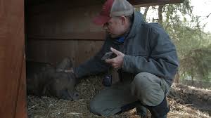 We did not find results for: The Biggest Little Farm Filmer Pa Google Play