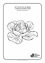 The coloring sheet of some vegetables: Cool Coloring Pages Cabbage Pageities For Kids Sheet Vegetables Fun Approachingtheelephant