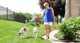 For fewer people with ms the changes in cognitive function will be more challenging. Multiple Sclerosis Hard Facts And Good News Premier Health