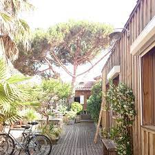 Check spelling or type a new query. Petit Paradis Picture Of L Oceane Chambres D Hotes Lege Cap Ferret Tripadvisor
