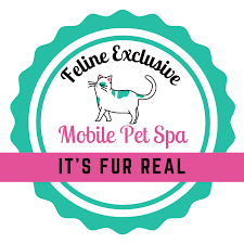 Check spelling or type a new query. It S Fur Real Mobile Pet Spa Home Facebook