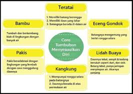 …kunci jawaban lks fokus matematika kelas 6 / kunci jawaban buku matematika kelas 6 halaman 75 sampai 77 brainly co id : Kunci Jawaban Tematik Tema 2 Kelas 6 Halaman 18 20 21 24 Pembelajaran 3 Subtema 1 Rukun Dalam Perbedaan