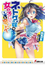 Netoge No Yome Wa Onnanoko Ja Nai To Omotta Odc 1 Netoge No Yome Anime Light Novel Girl Online