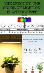 Check spelling or type a new query. Does The Color Of Light Affect Plant Growth Plant Growth Grow Lights For Plants Aquaponics