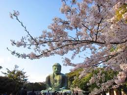 Résultat de recherche d'images pour "kamakura Shakado"