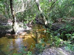 We did not find results for: National Forests In Mississippi Districts