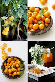 The businesses listed also serve surrounding cities and neighborhoods including sarasota fl, englewood fl, and venice fl. Tangerine Marmalade Orange Oat Chocolate Energy Bars
