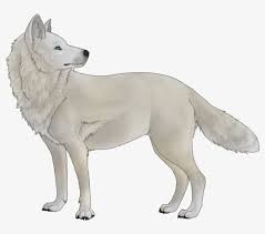 Anime wolves wolf cool deviantart background aniu hdblackwallpaper pups male rp stay fight widescreen wide. White Wolf Thing White Wolf No Background 900x682 Png Download Pngkit