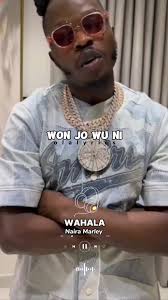 #fppppppppppppppppp #goviral #afromusic #lyricsvideo #wahala #nairamarley  #newtrend #olalyrics4