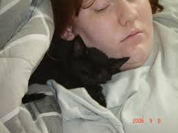 What to do with an elderly cat that is eating constantly and losing weight?