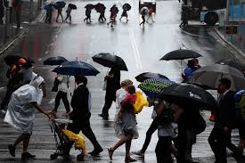 Very high (90%) chance of showers near the coast, grading to a slight (30%) chance in the west. Sydney At Risk Of Flash Flooding As Bom Forecasts Thunderstorms To Hammer Coast On Wednesday Abc News