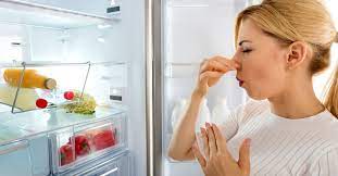If the water lines have mold or other contaminants, then that smell can be carried over into the fridge and certainly into any dispensed water or ice. Does Your Refrigerator Smell Bad Inside Even After Cleaning It Here S How To Remove Fridge Odor And Smells Refrigerator Smells Fridge Odor Clean Refrigerator