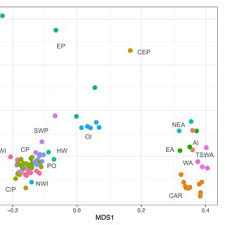Image result for Crepidorhopalon parviflorus