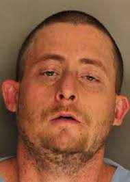 Pictures show massive amount of stolen pills in woman's home