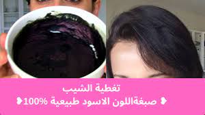 صباغة الشعر طبيعيا تغطية الشيب الحنة السوداء طبيعية indigo youtube