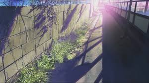 Gray Concrete Wall Anime 5 Centimeters Per Second Makoto Shinkai 1080p Wallpaper Hdwallpaper Desktop In 2021 Anime Scenery Scenery Anime Pixel Art