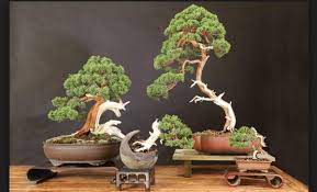 Macam macam gaya bahasa (majas) beserta contohnya. Bonsai Gaya Slanting Indah Mempesona Bennisobekti Com
