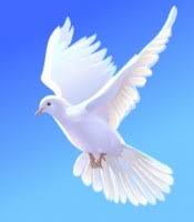 Obituary information for David Lee Garris