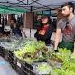 2025 Downtown Farmers' Market