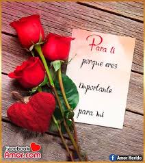 Pin En Galeria