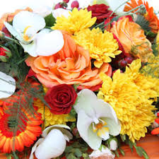 Maybe you would like to learn more about one of these? Philips Flower And Gift Shop Florist In Mercersburg Pa Mercersburg Flowers