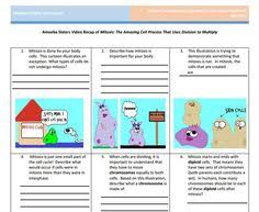 120 best amoeba sisters images on pinterest from mitosis vs meiosis worksheet answer key , source: 29 Amoeba Sisters Handouts Ideas Handouts Kindergarten Worksheets Sight Words Middle School Lesson Plans